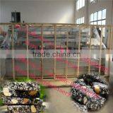 Low Price and Manufacture Almond Peanut Candy Making Machine thumbnail-1