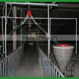 Pig Feeding System thumbnail-5