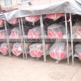 3-point Hydraulic Heavy Duty Disc Harrows Factory Price Well Function/ Performance thumbnail-5