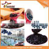 Hot Hot Full Automatic Industrial Blueberry Jam Maker Machine High Viscosity Production Line thumbnail-5