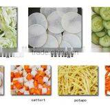 Stainless Steel and Best Quality Fruit and Industrial Vegetable Cutter thumbnail-4