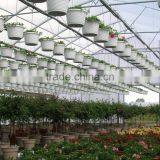 RoughBrothers Coldframe Series Galvanized Steel Frame Vegetable Tunnel Plastic Greenhouse thumbnail-4
