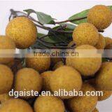 Plastic Fruit Decoration Artificial Longan Chinese Characteristic Fruit thumbnail-2