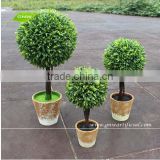 GNW GP002 Artificial Bonsai Plants Wholesale UV Plastic Green Color Small Potted Plant Indoor use