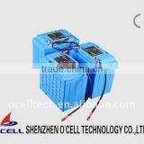 LFP Battery 12V/ 17Ah