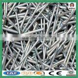 Express Hot Sale Polishing Common Nail Product thumbnail-1