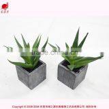 Chinese Factory Artificial Mini Aloe Plant Fake Mini Succulent Potted thumbnail-2
