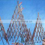 Willow Trellis thumbnail-1