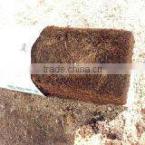 Grow Bag thumbnail-1