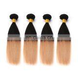 Express Ali Factory Price Ombre European Virgin 100 Human Hair thumbnail-4