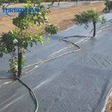 Heavy Duty Black Plastic Weed Barrier Matting Weed Control Fabric for Agriculture thumbnail-4