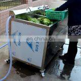 Wholesale Small Blueberry Apple Fruit Citrus Washer Machine thumbnail-1