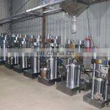 6YY-16 High Efficiency Moringa Oil Press Machine Flax Seed Oil Mill Machine thumbnail-7