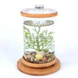 Desktop Eco Bottle Creative Office Tempered Glass Micro Landscape Tank Rotating Bedroom Fish Tank Fish Tank Mini Small thumbnail-5