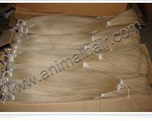 Horse Tail Hair thumbnail-5