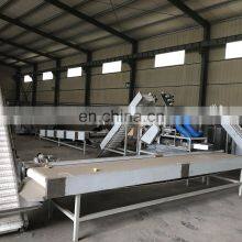 Machine Sesame Tahina Tahini Grinding Machine Russia thumbnail-5