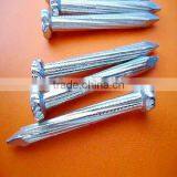 Concrete Nail With Twisted Shank Factory Price