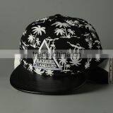 Coconut Tree Printing Triangle Mark Applique Embroidery Boys Flat Cap thumbnail-2