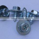Special Screw, Fastener, Metal Rivet Pin & Cold Forging Part thumbnail-4