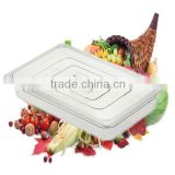 NSF GN 1/1 Food pan with plastic