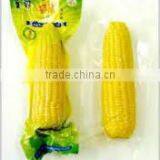 Sweet Corns Vacuum Packaging Machine thumbnail-3