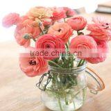 Diversified in Packaging Crazy Selling Decoration Wholesale Flower Ranunculus Asiaticus thumbnail-4