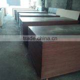 1220*2440mm Film Faced Plywood For Construction thumbnail-6
