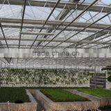 PC Sheet Greenhouse thumbnail-3