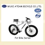 20 speed fat tire bicycles for sale 26 inch fat tyre bikes