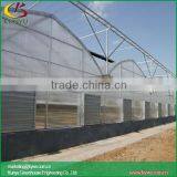 Sawtooth Type Polycarbonate Greenhouse Greenhouse Cover thumbnail-1
