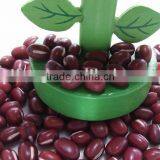Adzuki Bean( Heilongjiang Origin,2011 Crop,hps) thumbnail-1
