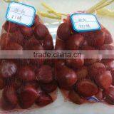 Chestnut Type Raw Chestnut