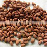 Raw Peanuts Shell for Sale From Factory Directly thumbnail-2