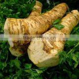 Grade A Horseradish Powder With Unique Package thumbnail-5