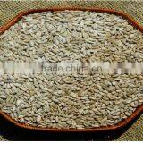 Raw Sunflower Kernels for Wholesaler thumbnail-3