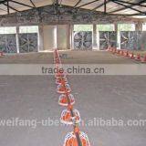 Automatic Broiler Feeding System for Chicken