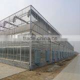 Vegetable Greenhouse Polycarbonate Sheet Fim thumbnail-1