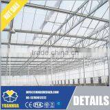 Multi Span Polycarbonate Sheet Greenhouse thumbnail-3