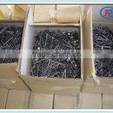 Electro-galvanized Common Building Nails Common Wire Iron Nail thumbnail-6