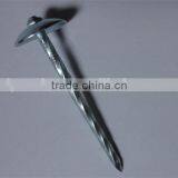 Hot Sales! China Factory Supply High Quality Galvanized Umbrella Head Roofing Nails thumbnail-2