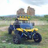 1100cc Chery Engine 4*4 2-seat Dune Buggy for Sale thumbnail-1