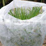 PP Mulch Fleece , Frost Protection Fleece (50g/m2) thumbnail-3