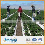 Lanscape Border Woven Sheet thumbnail-1