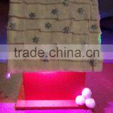 Light Up Christmas House thumbnail-4