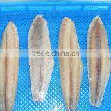 Frozen Mahi-mahi and Coryphaena Hippurus Fillet thumbnail-5