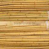 Wholesale Bamboo Poles /bamboo Canes thumbnail-3