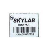 GPS Receiver Module Skylab SKG17AH