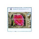 China Led Display thumbnail-1