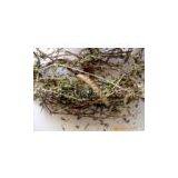 Cassia Nomame Extract(rossonl@huacheng-biotech.com)