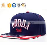 Customized Snapback hat With 3D Embroidered Logo